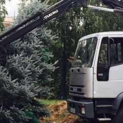 Перевозка деревьев краном-манипулятором